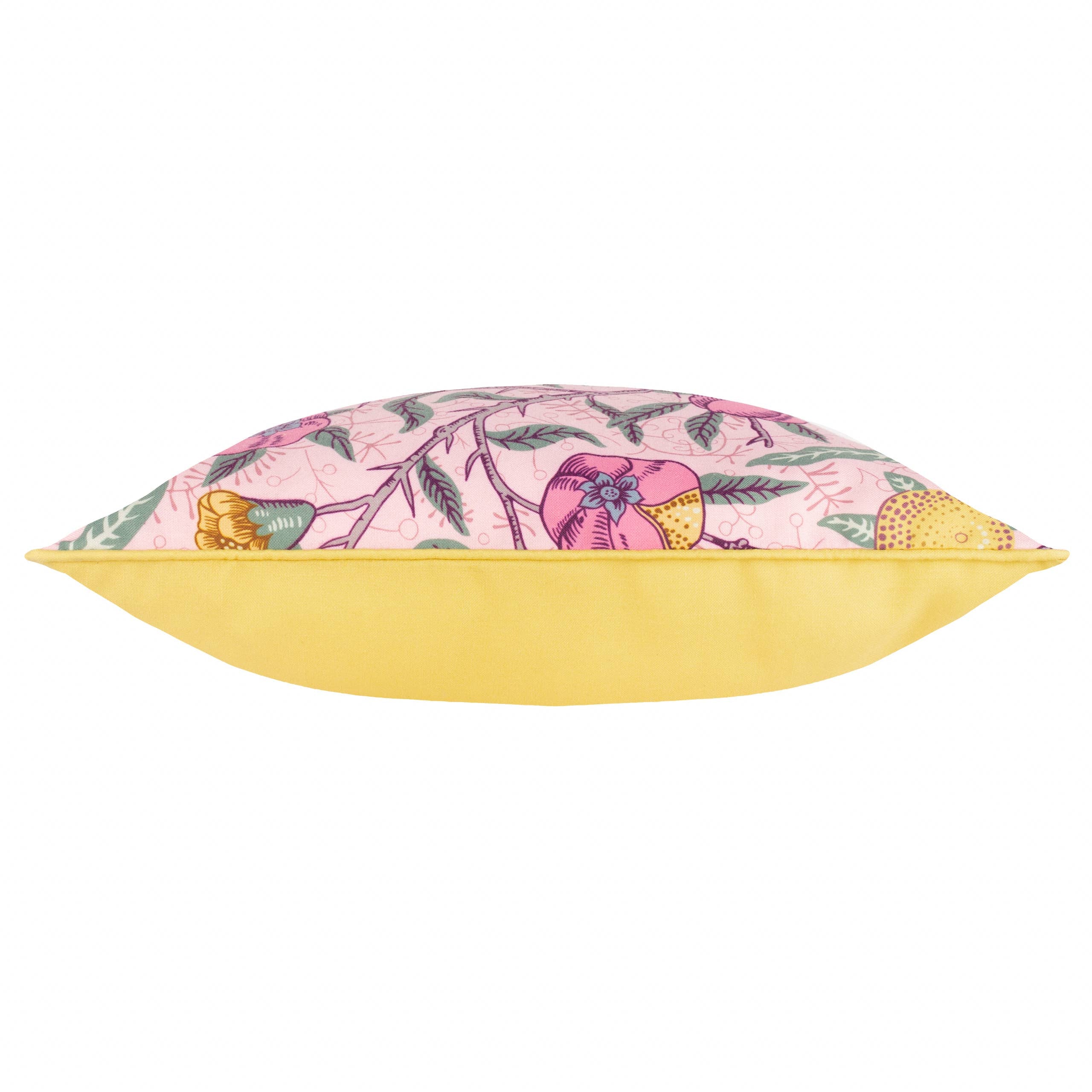 Coussin d'extérieur Fruits Rose Blush/Citron: Blush Pink/Lemon / Polyester Filled / 45 x 45cm