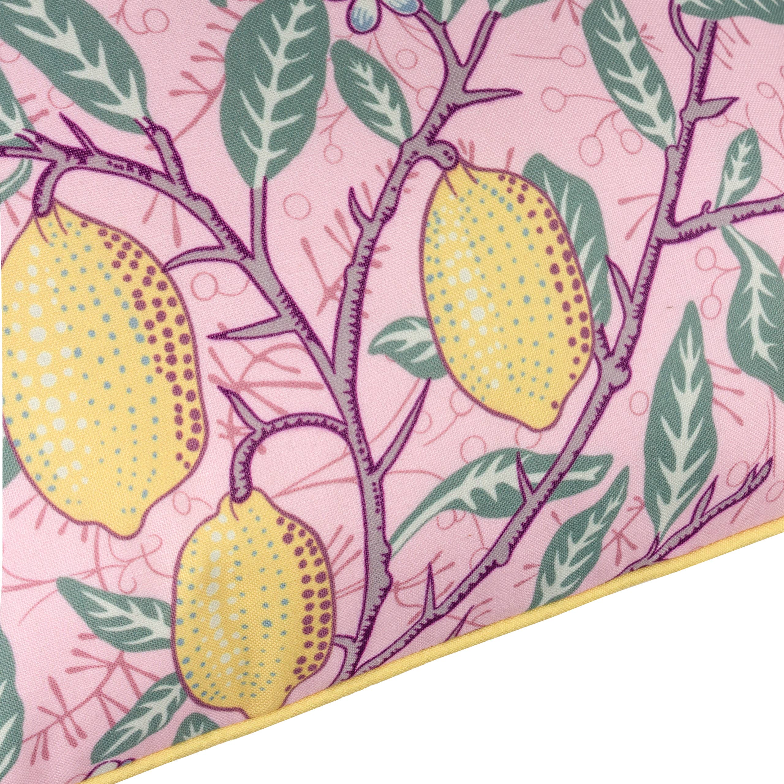 Coussin d'extérieur Fruits Rose Blush/Citron: Blush Pink/Lemon / Polyester Filled / 45 x 45cm